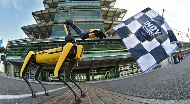 Il robot sbandiera la fine della gara per monoposto senza pilota